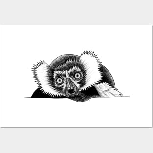 Ruffed lemur - ink illustration Posters and Art